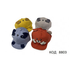 Кепка  для хлопчика Мішка  розмір 50    5(4)шт